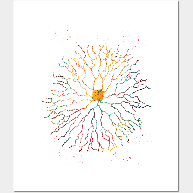 Starburst neuron Wall Art by erzebeth